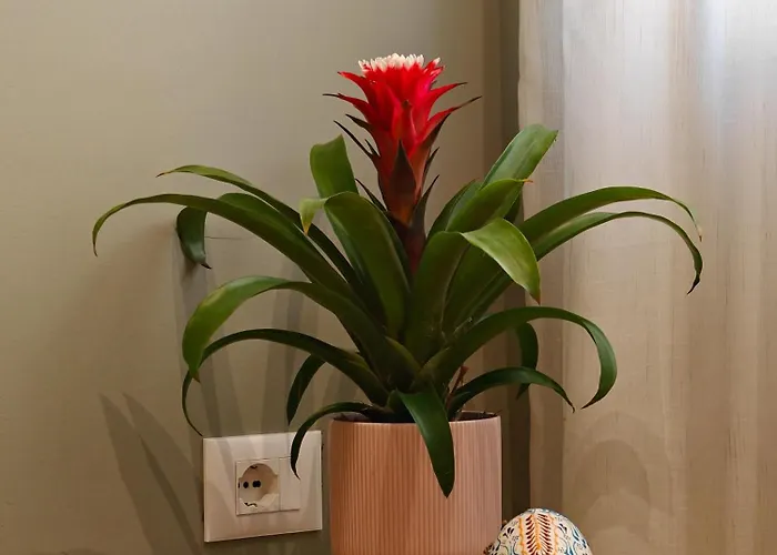 Aparthotel Rroji Urban Heritage *