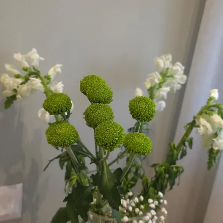 Aparthotel Rroji Urban Heritage Shkoder